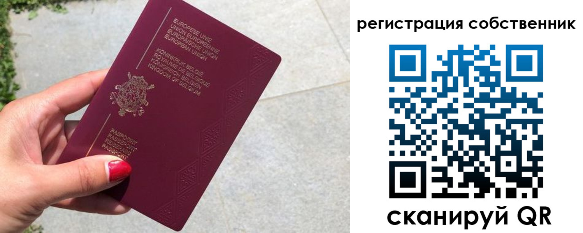 временная регистрация поиск в Реже